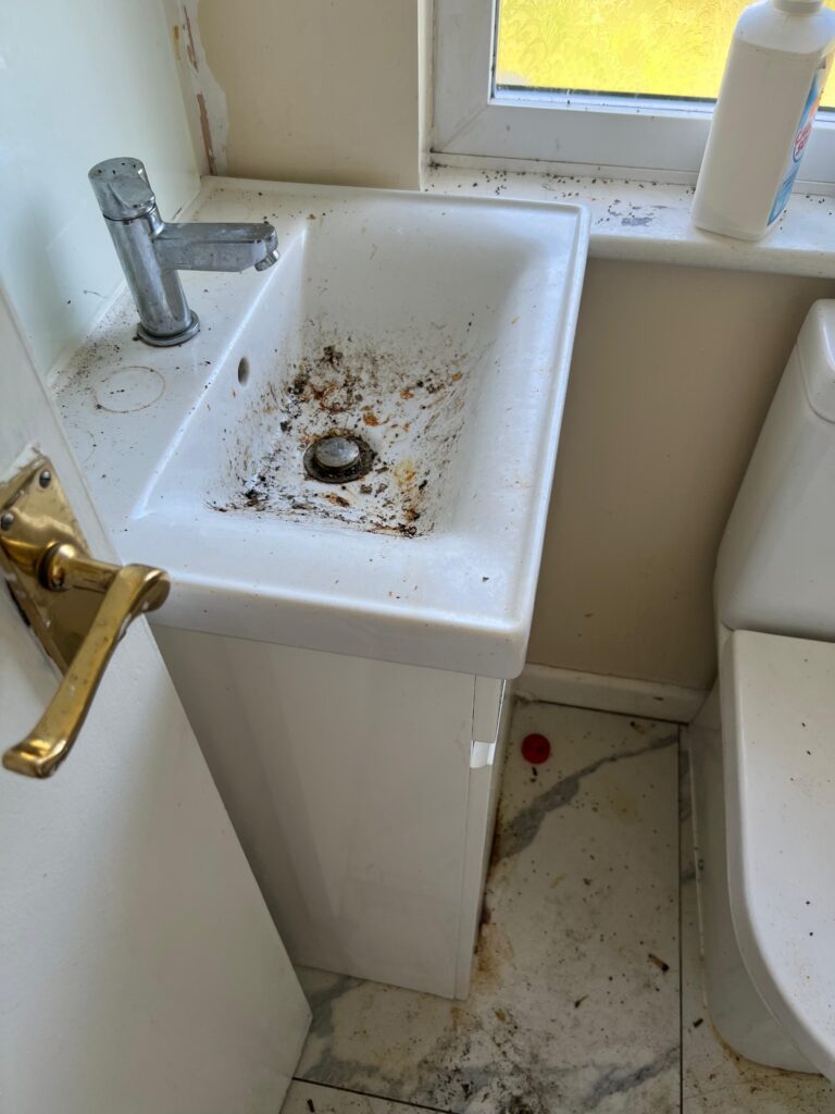 WhatsApp Image 2025-12-16 at 11.55.02